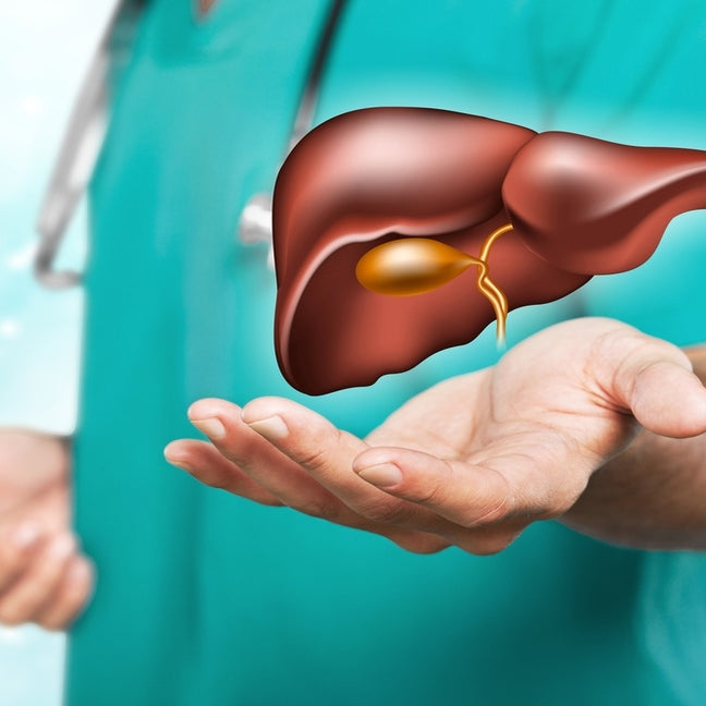 How to Maintain Your Liver Health