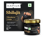 Kapiva Himalayan Shilajit Resin (20gm) - The Med Pharma